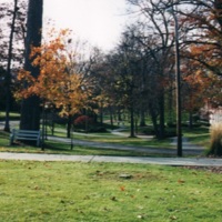 Valley in Autumn